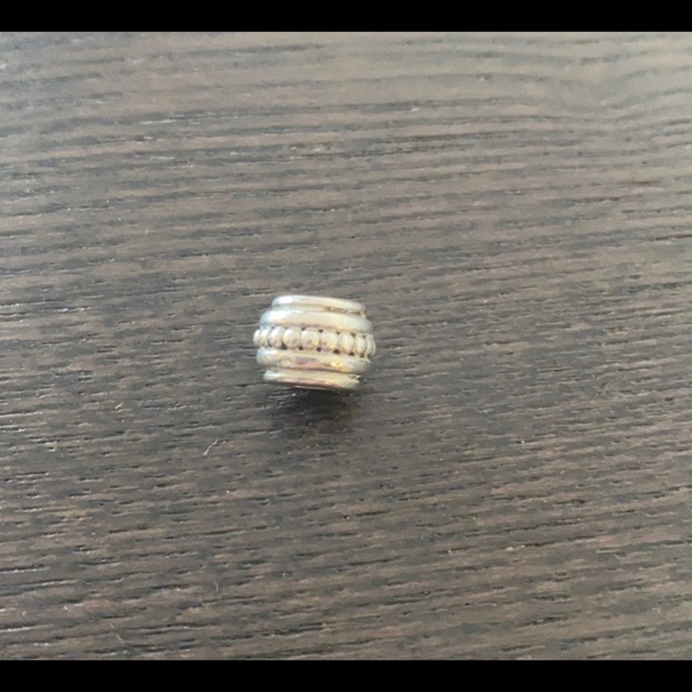 Pandora Charms